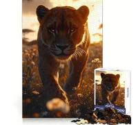 Lioness Walking Through Field at Sunset Jigsaws 1000 Pieces for Adults Sharp Brain Perfect Connection Family Bond Art Work (38x26cm)