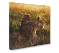 Lioness With Lion Cub Canvas Print | Gallery Wrapped 30mm Frame Wall Art | 20x20 inches | Ready to Hang | Modern Animals Picture | Living Room Bedroom Lounge Office