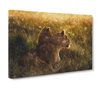 Lioness With Lion Cub Canvas Print | Gallery Wrapped 30mm Frame Wall Art | 30x20 inches | Ready to Hang | Modern Animals Picture | Living Room Bedroom Lounge Office