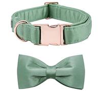 Lionet Paws Dog Collar Bowtie - Comfortable Silk Green Dog Collar with Detachable Bow Tie for Puppy and Cat, Neck 20-30cm