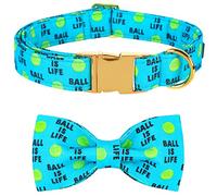 Lionet Paws Dog Collar with Bow Tie, Adjustable Detachable Bowtie Collar for Puppy Small Medium Large Dogs and Cats Girl Boy Gift