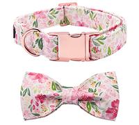 Lionet Paws Dog Collar with Bow Tie - Soft Comfortable Adjustable Collars with Metal Buckle for Medium Dogs Girl, Neck 34-55cm