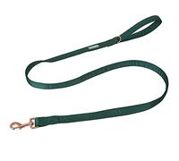 Lionet Paws Dog Leash - Silk Black Green Leash for Small Medium Large Dogs Matching Collar for Girl and Boy