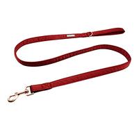 Lionet Paws Dog Leash - Silk Red Leash for Small Medium Large Dogs Matching Collar for Girl and Boy