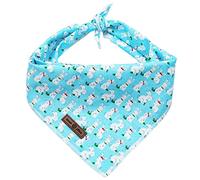 Lionet Paws Easter Dog Bandana for Small Medium Large Dogs,Blue Dog Kerchief Red Green Dog Triangle Bibs Scarf for Girl Boy Gift