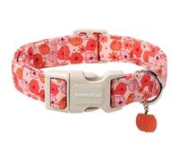 Lionet Paws Halloween Dog Collar- Cute Flower Pumpkin Peach Dog Collars with Plastic Buckle and Pumpkin Pendant,Light Adjustable Heliopsis Dog Collars for Small Medium Dogs