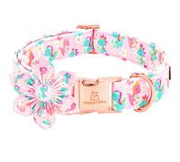 Lionheart glory Dog Collar with Flower Dinosaurs Print Collars for Small Dogs, Spring Summer Cute Duty Adjustable Dog Flowers Collar Puppy Collars Bows Pet Gift