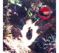 Lionmilk - Intergalactic Warp Terminal 222 [New Vinyl LP]