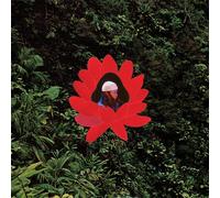 Lionmilk : When the Flowers Bloom VINYL 12" Album (2025) NEW Amazing Value