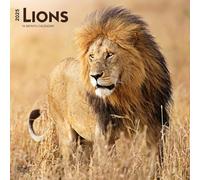 Lions | 2025 12 x 24 Inch Monthly Square Wall Calendar | Plastic-Free | BrownTrout | Animals Wildlife