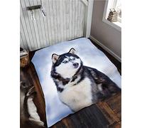 Lions Animal Print Throw Blanket - 3D Design Thermal Faux Fur Fleece Blankets for Sofa Bed Settee Couch, Extra Large Warm Cosy Cuddly Fluffy Throws (Husky, 200x240cm)