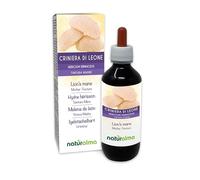 Lion's Mane or Monkey Head (Hericium erinaceus) Fungus or Mushroom Alcohol-Free Mother Tincture Naturalma - Liquid Extract Drops 200 ml - Food Supplement - Vegan