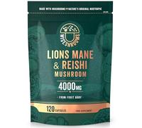 Lions Mane Supplement 4000mg with Reishi Mushroom | Lions Mane Capsules High Strength | 120 Powder Capsules | Vegan | Wiseshrooms