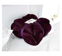 Lions Sherpa Flannel Blanket Fleece Throw Mink Fake Fur Warm Soft Fluffy Sofa Bed Sheet (Aubergine, Double (150x200cm))
