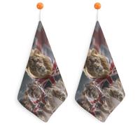Lions Under The British Flag Soft Hand Towels 2PCS