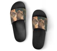Lions Under Tree Unisex Shower Slippers Non Slip Slides Bathroom Beach Pool Sandals