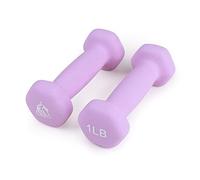 LIONSCOOL Neoprene Coated Dumbbell Weights (Lavender 1lb Pair)