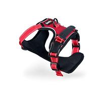 lionto Dog Harness, Padded, Reflective, Size S, Red