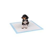 lionto Puppy pads, 6-ply training pads for dogs with adhesive strips, 50 pieces 60x60 cm, leak-proof and hard-wearing thanks to high absorbency for sick and incontinent animals, blue/white