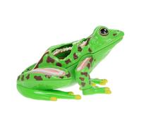 LIOOBO 4D Dissection Frog Anatomy Model for Students Realistic Educational Toy Removable Parts Science Class Learning Aid for Biology Lessons