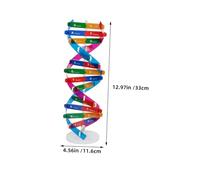 LIOOBO 4pcs Dna Educational Structure Model Kit Interactive Double Helix Learning for Genetics Teaching DIY Assembly Science Material for Students and Family Activities