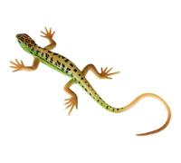 LIOOBO Artificial Reptile Lizard Model Realistic Educational Figurine for Plastic Animal Plaything for Early Education Safe Lizard Prop for Learning
