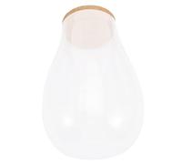 LIOOBO Moss Ecological Bottle and Hydroponic Plant Terrarium Glass Container Cork Lid, 20x14cm Propagation Station for Indoor Micro Landscape and Diy Bryophyte Display