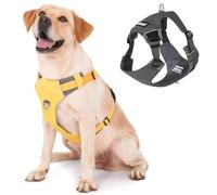 LIOPARD - Dog Harness, Easy Walk No Pull with 2 Leash Clips, Reflective Soft Padded Adjustable Puppy Harness, Heavy Duty Car Seat Belt Harness