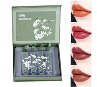 Lip Makeup Kit | Set of 4 High Pigment Lip Colours,Lip Makeup Supplies for Girls for , Work, Dating, Meeting, Travel, Home Bero