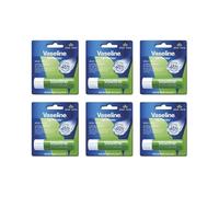 Lip Therapy Aloe Vera Lip Balm 4.8g - Pack of 6