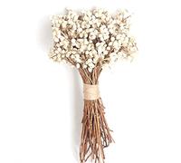 Lipfer 20 Pcs/set Natural Cotton Balls Dried Flower Plants Dry Real White Fruit Bunch Party Decorative Flowers Diy Wedding Decoration