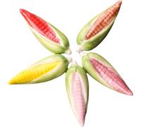 Lipfer 5 Pcs Chopstick Rests Cute Ceramic Corn Shaped Knife Rests Chopsticks Holder for Home Decor, Dinner, Restaurant, Gift, Crafts