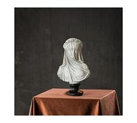 LIPPSY 2023 Premium Resin Craft Decorated Maiden Bust,Veiled Lady Bust Veiled Maiden Bust Sculpture, 9.8 inch Gothic Statue Home Decor Aesthetic for Home Art Collection Ornament