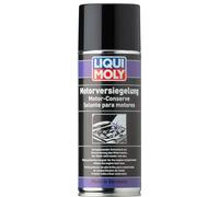 LIQUI MOLY 3327 Engine Gloss Paint