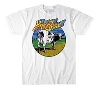 Liquid Blue Pink Floyd Distant Bells Atom Heart Ss Tee - White - XL