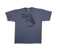 Liquid Blue Unisex's Grateful Dead Birdsong Short Sleeve T-Shirt, Medium Blue