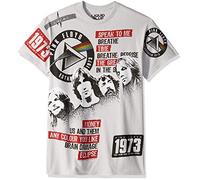 Liquid Blue Unisex's Pink Floyd Dark Side 1973 Short Sleeve T-Shirt, Gray, Large