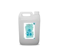 Liquid Fractionated Coconut Oil - 5 Litres - MCT Oil for Skin, Hair, Lip Gloss, DIY Beauty, Aromatherapy, Massage, and Cuticle Care