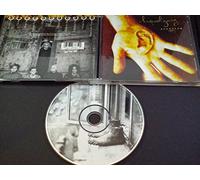 Liquid Gang - Sunshine