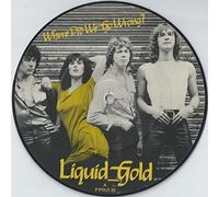 Liquid Gold - LIQUID GOLD - WHERE DID WE GO WRONG - 7 INCH VINYL / 45