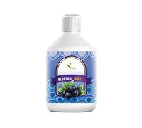 Liquid Iron Supplement - Bluetone, Suitable for Vegans and Vegetarians, Iron Supplement, Natural Iron in Mixed Fruit Flavor - 500 ml, 15 ml dose per Day, 33 doses