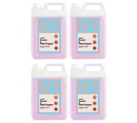 Liquipak Vegan Washing Up Liquid, Refill - Peach & Pink Pepper | 100% Vegan & Cruelty-Free, Removes Tough Stains (4x5 Litres)