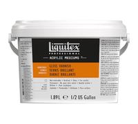 Liquitex 5345 Professional Gloss Varnish for Acrylic Paints, Archival Quality, Does Not Yellow, Dries Clear - 1.89 Litre Bottle