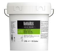 Liquitex Professional Acrylic Additive Gloss Medium 3.78l Bucket