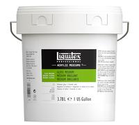 Liquitex Professional Acrylic Medium for Acrylic Paint, Gloss, 3.78 L