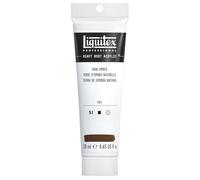 Liquitex Professional Heavy Body Acrylic Paint 138 ml tube, Raw Umber