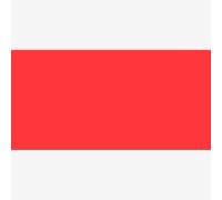 Liquitex : Professional : Heavy Body Acrylic Paint : 59ml : Cadmium Free Red Medium