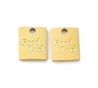 LiQunSweet 10 pcs Golden Color Rectangle with Word Good Luck Charms Inspiration Words Charms for DIY Jewelry Necklace Bracelet Earring Crafts Bag Keychian Phone Decor Bulk