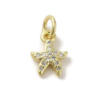 LiQunSweet 10 pcs Golden Color Starfish Theme Brass Pave Cubic Zirconia Charms Cute Ocean Sea Animal Charms for DIY Jewelry Bracelet Necklace Earring Craft Accessory