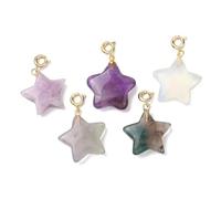 LiQunSweet 10 pcs Natural & Synthetic Gemstone Charms, Star Heart Rectangle Charm, Semi-precious Stone Clip on Charms, with Golden Brass Clasp, for Jewelry Making, Zinc, No Gemstone